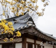 [날씨]부울경(12일) 오늘은 화창한 날씨 이어지다 오후 곳에 따라 비