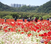 이제 사전예약 없이..."태화강 국가정원 해설 들으세요!"