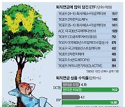 '안전 제일' 연금개미 채권ETF로 몰렸다