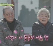 강부자 "♥이묵원과 싸우면 내가 꼭 빈다. 각방도 절대 NO!" 애정 과시[회장님네]