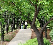 부천 상동호수공원은 연간 180만명 찾는 '녹색 쉼터'