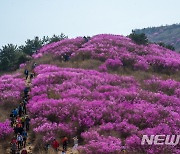 분홍빛 가득한 '영취산진달래축제' 23~24일 개최