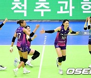 현대건설 3-0으로 잡아낸 흥국생명, '우승 경쟁 끝까지 간다' [사진]