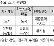 영화·드라마는 OTT, 예능·연예는 TV로 본다…문광연 ‘콘텐츠 이용 동기와 선호 장르’ 보고서 발표