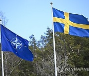 SWEDEN DEFENSE NATO