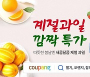 쿠팡 로켓프레시, 딸기·오렌지·참외 450t 푼다…최대 30% 저렴