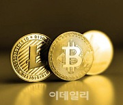 "수수료 더 낮춘다"…그레이스케일, GBTC 분할 상장 추진