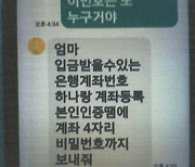 "엄마, 나 급해" 문자에 속았다…9억 챙긴 중국 피싱조직 총책 구속