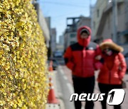 [오늘의 날씨]대전·충남(13일, 수)…아침 기온 영하권