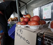 이게 과일 값 맞나요...‘애플플레이션’ 초가을까지 계속된다