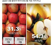 사과·배 생산량 줄었는데 수입도 안돼