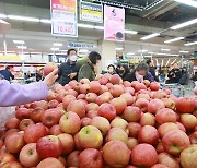 '사과나무를 심었어야'…사과값 사상 최초 9만원대 뚫었다