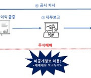 “회사 흑전이라고?”···아내 차명계좌로 주식 사들인 대표이사