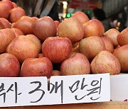 ‘금’ 사과 10kg 도매가격 9만 원대…9만 원대는 사상 처음