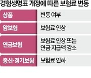 암 보험료 내달부터 오른다