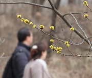 아침엔 겨울, 낮엔 봄···일교차 큰 하루[날씨]