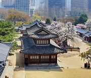 Deoksugung palace tours to open next week