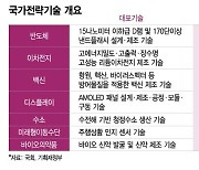 세수감소 부담에도…반도체 등 전략기술 세액공제 연장한다