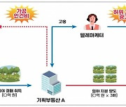 "특별히 알려 드릴게" 노후자금도 다 털렸다…500명 속은 기획부동산