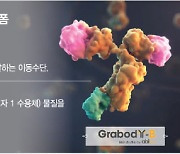 빅파마 성과에 에이비엘바이오 'BBB 셔틀' 주목…주가도 상승흐름