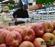 [머니S포토] 보고 또 보고 '金사과' 이가격 맞나