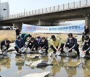 "건강하게 다시 보자"…낙동강에 '어린 연어' 30만마리 방류