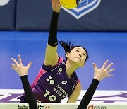 '전 경기·전 세트 개근' 김연경 투혼이 만들었다, 명장도 놀란 역대급 시즌... '1·2위 단 1점차' 최종전서 1위 가린다