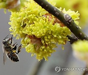 내륙 중심으로 아침 영하권…일교차 유의