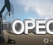 OPEC·EIA 향후 석유수요 전망 엇갈려…역대급 격차