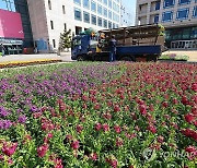 저는 '봄'입니다. 이제 저와 함께 걸어가요