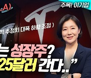 테슬라, 성장 없는 성장주?…“주가 125달러 간다” (영상)