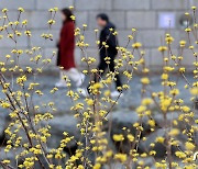 [오늘의 날씨]경기(14일, 목)…아침 영하 3도, 짙은 안개 주의