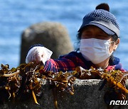 [오늘의 날씨]대구·경북(14일,목)…미세먼지 '나쁨', 낮 최고 15~18도