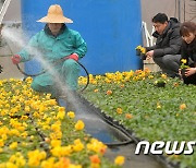 [오늘의 날씨]대전·충남(14일, 목)…가시거리 200m 안개