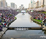 "불광천에서 벚꽃축제 즐겨요"…은평구, 4월 봄 행사 개최