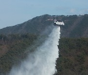 산림청, 해외 임차 7대 등 총 190대 헬기 확보…대형산불 대비