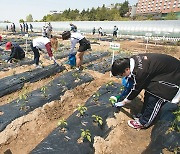 전북대 ‘캠퍼스 텃밭’에서 채소 키워볼까