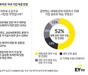 글로벌 최저한세 전면 시행, 국내 기업들 대응책 '발등에 불'