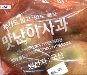 사과 반값 할인‥"못난이 아니고 맛난이"