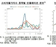 [통화신용]①"소비자물가, 근원물가 수렴단계도 아니다"