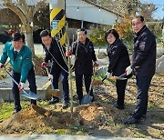 장흥군, 200ha 규모 조림 사업 추진