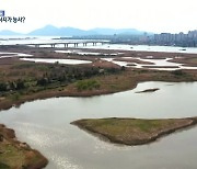 사하구도 ‘보호구역’ 해제 추진…대체 서식지가 능사?