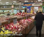 “배 1개에 9,800원”…‘애플레이션’ 현실화