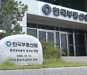 “수치 맞추도록 부동산원 압박”…“사회 공정성 침해”