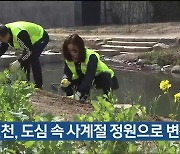 여천천, 도심 속 사계절 정원으로 변신