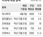 메리츠금융·하나투어 … 비과세 고배당주 주목