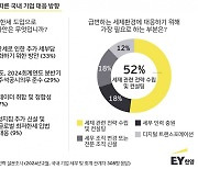 글로벌 최저한세 시행, 국내 기업 최대 고민은 '추가 세금'