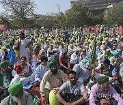 India Farmer Protests