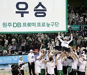 DB, 6년 만의 정규시즌 1위