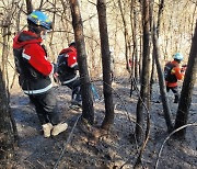 경북 영덕 산불 1시간 40여분 만에 진화